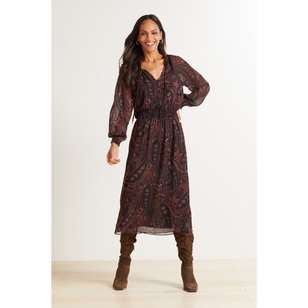 Evereve Dress Paisley Print Tie Front Chiffon Gremlin Forest‎ Eliza Midi Small